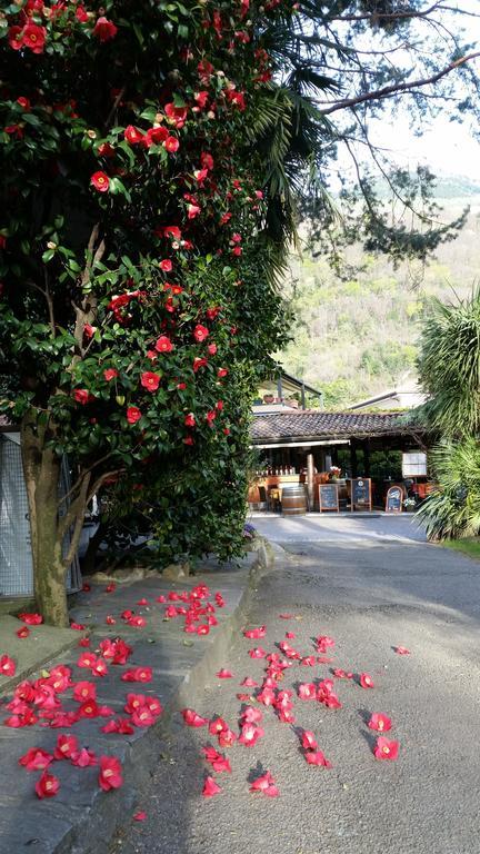 Villaggio Turistico Riviera 2* Cannobio